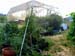GardenContAug08