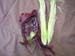 corn3_2449