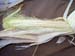 corn3_2453